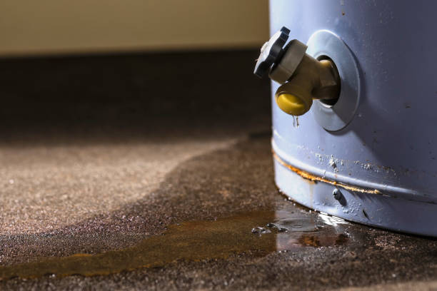 Best Local water damage restoration  in Reidsville, GA