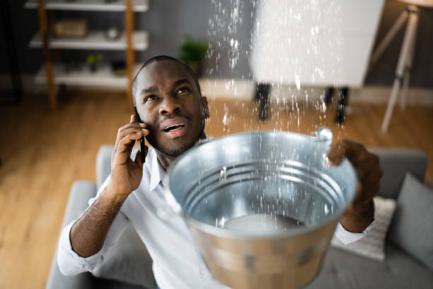 Best Basement water damage restoration  in Reidsville, GA