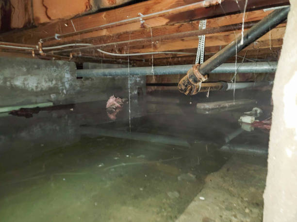 Best 24/7 water damage repair  in Reidsville, GA