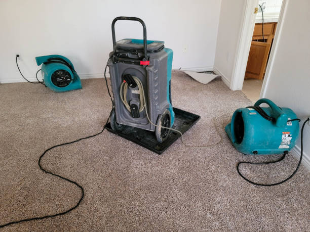 Best Water damage restoration near me  in Reidsville, GA