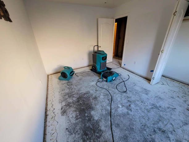 Best Residential water damage restoration  in Reidsville, GA