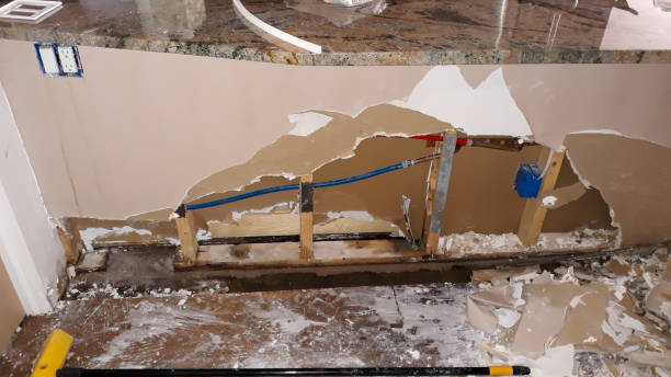 Best Mold removal after water damage  in Reidsville, GA
