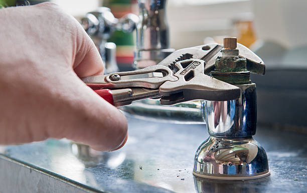 Best Professional water damage repair  in Reidsville, GA