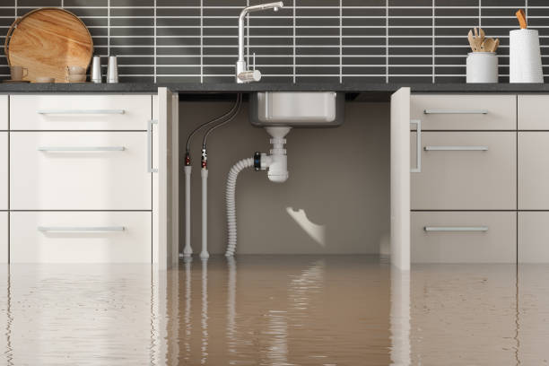 Best Water damage restoration near me  in Reidsville, GA