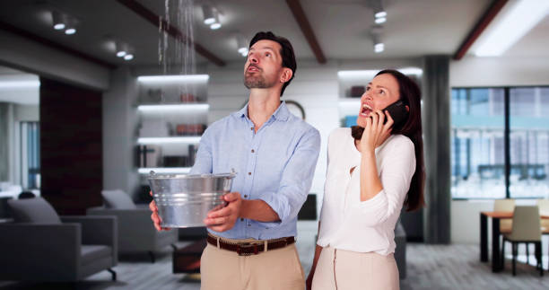 Best Flooded house restoration  in Reidsville, GA
