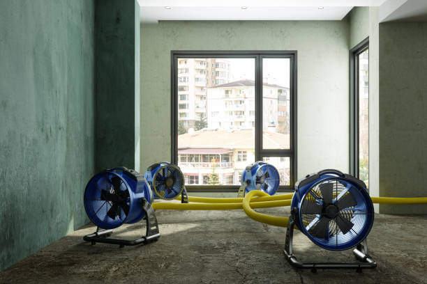 Best 24-hour water damage restoration  in Reidsville, GA